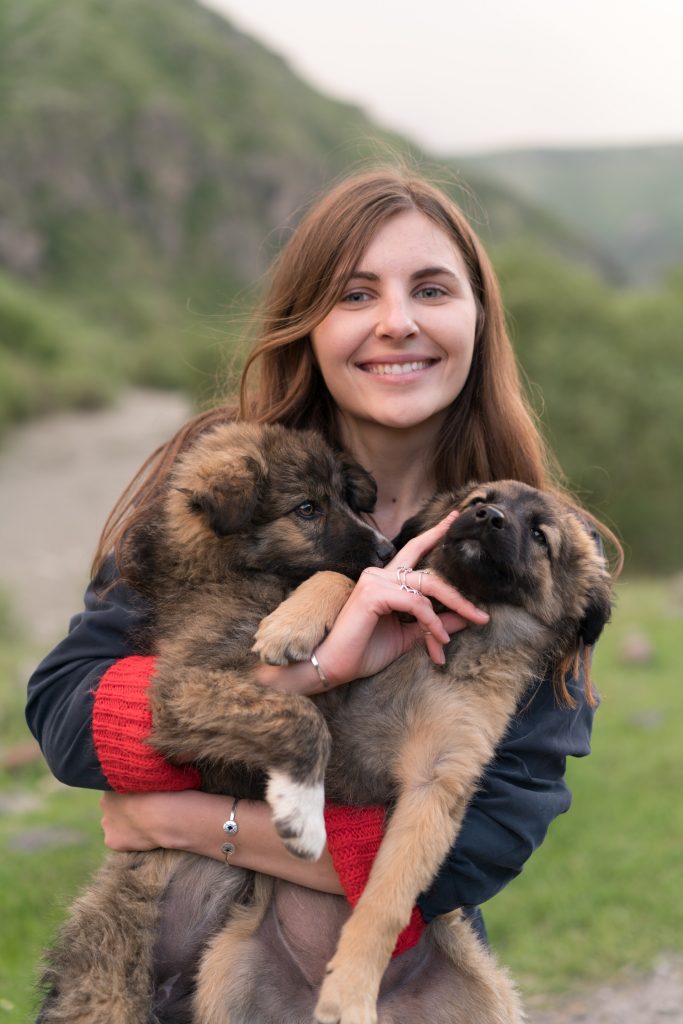 German shepherd puppy